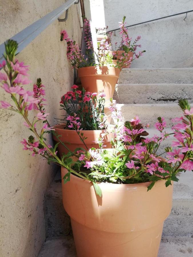 La Terrasse Villa Gignac  Dış mekan fotoğraf